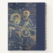 Astrologie Aquarius Horoscope zakboek met naam Notitieboek (Achterkant)