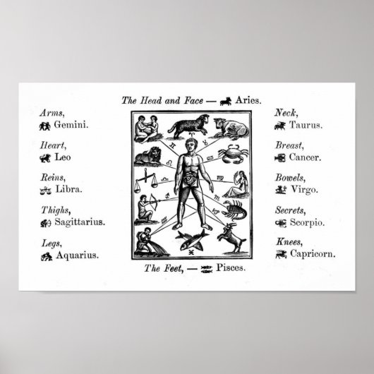 astrologische grafiek Art Print Poster (Voorkant)