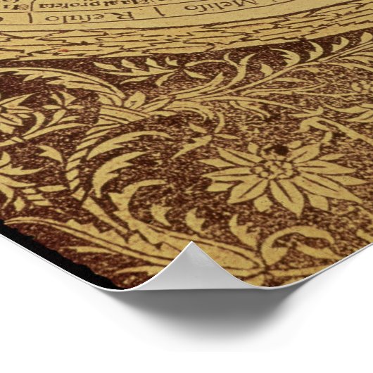 Astrologische kankertabel poster (Hoek)