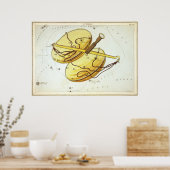 Astrologische tekening van het beha poster (Keuken)