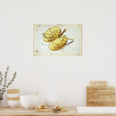 Astrologische tekening van het beha poster (Keuken)