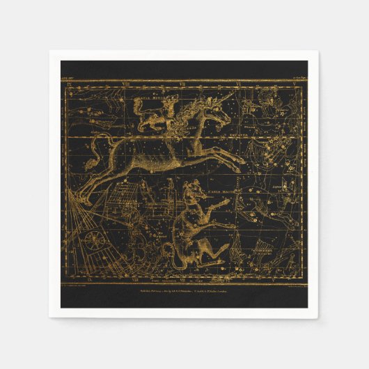  astrologische Unicorn Servet (Voorkant)