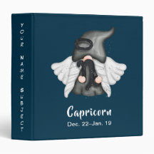 Astrology Sign Angel van Gnome Capricorn