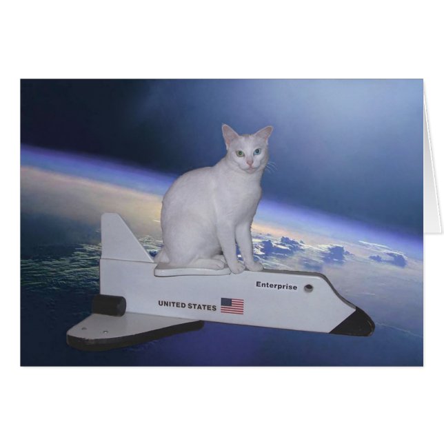 Astronaut Cat (Spirit) op Space Shuttle (Voorkant Horizontaal)