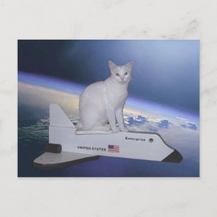 Astronaut Cat (Spirit) op Space Shuttle Briefkaart