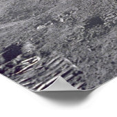 Astronaut David Scott Salutes Flag Poster (Hoek)