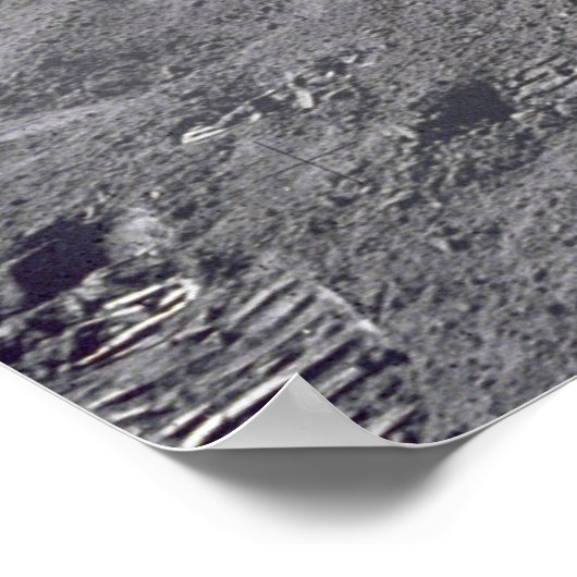 Astronaut David Scott Salutes Flag Poster (Hoek)