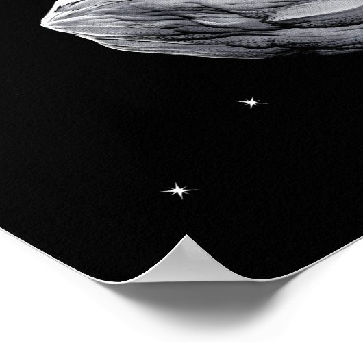 Astronaut Double Bass Player Poster (Hoek)