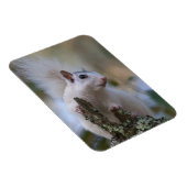 astronaut-eekhoorn magneet (Rechterzijde)