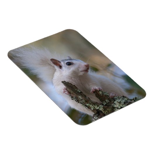 astronaut-eekhoorn magneet (Rechterzijde)