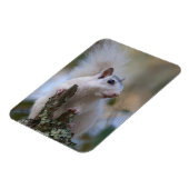 astronaut-eekhoorn magneet (Linkerzijde)