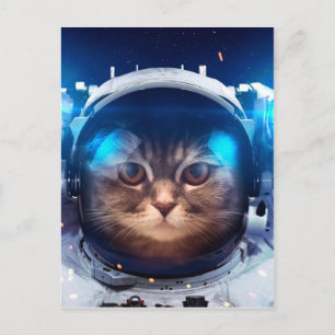 Astronautische katten drijven boven de aarde briefkaart
