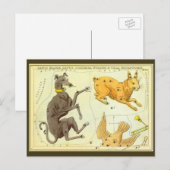 Astronomie, Celestial Map Star Chart in Sky Briefkaart (Voorkant / Achterkant)