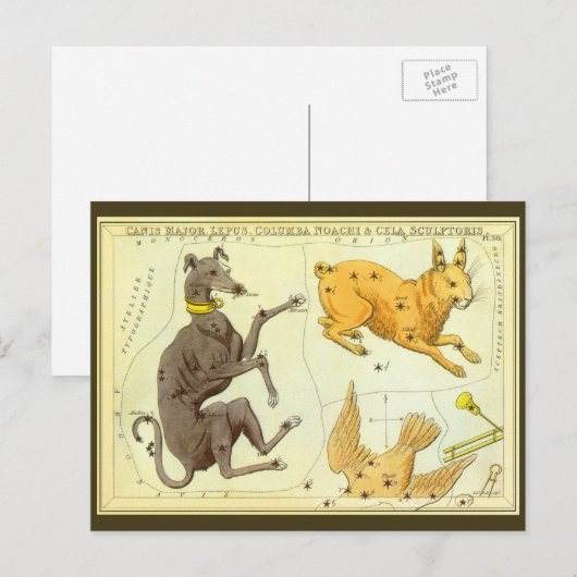  Astronomie, Celestial Map Star Chart in Sky Briefkaart (Voorkant / Achterkant)