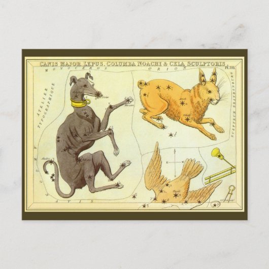 Astronomie, Celestial Map Star Chart in Sky Briefkaart (Voorkant)