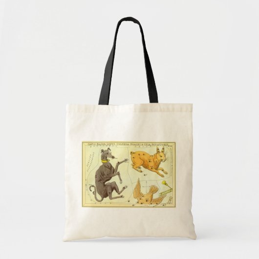 Astronomie, Celestial Map Star Chart in Sky Tote Bag (Voorkant)