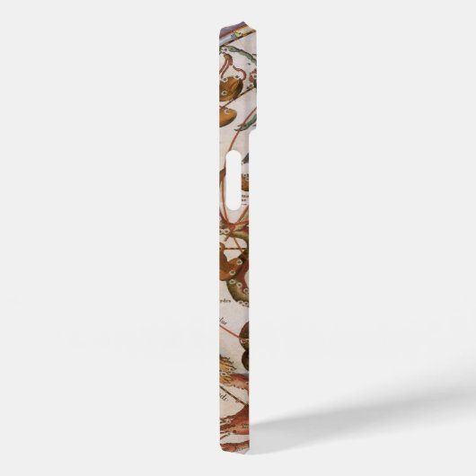  astronomie, Constellations of Southern Sky Case-Mate iPhone Case (Achterkant / Rechts)