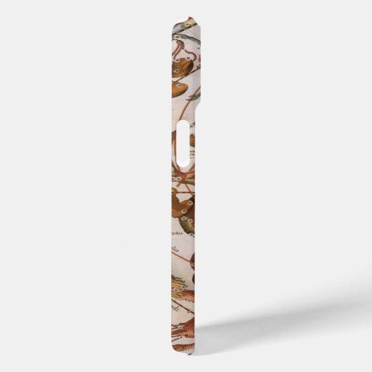  astronomie, Constellations of Southern Sky Case-Mate iPhone Case (Achterkant / Rechts)