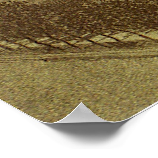  Astronomie, Donati Comet over Parijs, 1858 Poster (Hoek)