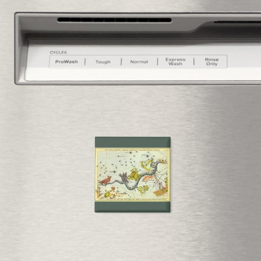  astronomie, Hydra Snake Constellation Stars Magneet (Insitu (Vaatwasser))