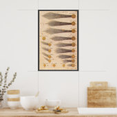  astronomie, komt van Stanislaw Lubieniecki Poster (Keuken)