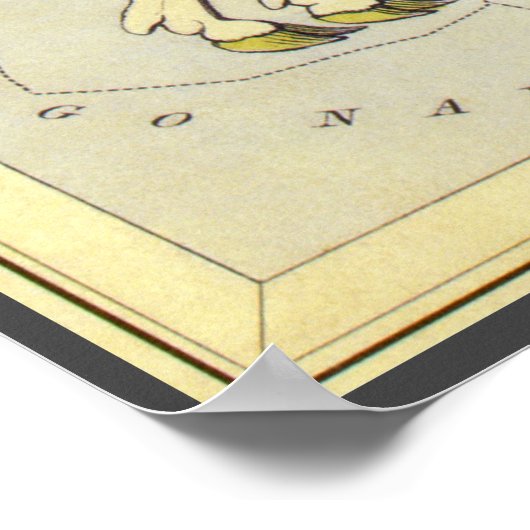 astronomie, Monoceros Unicorn Constellation Poster (Hoek)