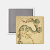  astronomie print Draco & Ursa Minor Magneet (Voorkant / Achterkant)