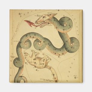  astronomie print Draco & Ursa Minor Magneet