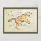 astronomie, Ursa Major Constellation, Beer Briefkaart (Voorkant)