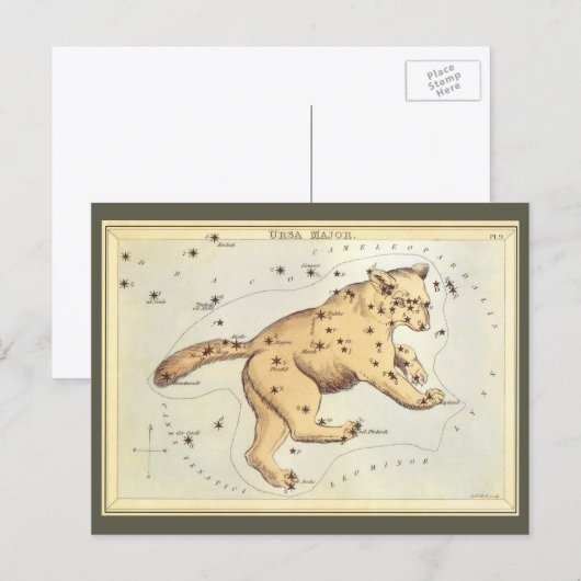 astronomie, Ursa Major Constellation, Beer Briefkaart (Voorkant / Achterkant)