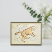  astronomie, Ursa Major Constellation, Beer Briefkaart (Staand voorkant)