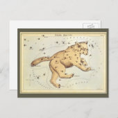  astronomie, Ursa Major Constellation, Beer Briefkaart (Voorkant / Achterkant)