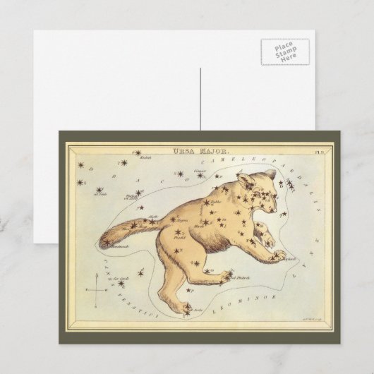 astronomie, Ursa Major Constellation, Beer Briefkaart (Voorkant / Achterkant)