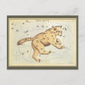  astronomie, Ursa Major Constellation, Beer Briefkaart (Voorkant)