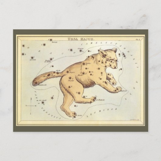  astronomie, Ursa Major Constellation, Beer Briefkaart (Voorkant)