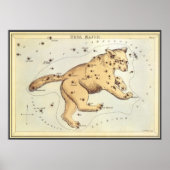  astronomie, Ursa Major Constellation, Beer Poster (Voorkant)