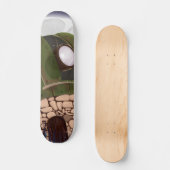Astronomisch Observatorium Persoonlijk Skateboard (Voorkant)