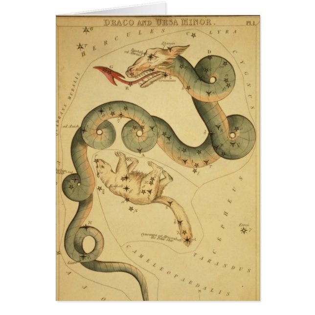  astronomische afdruk Draco & Ursa Minor (Voorkant)