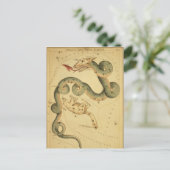  astronomische afdruk Draco & Ursa Minor Briefkaart (Staand voorkant)