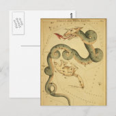  astronomische afdruk Draco & Ursa Minor Briefkaart (Voorkant / Achterkant)