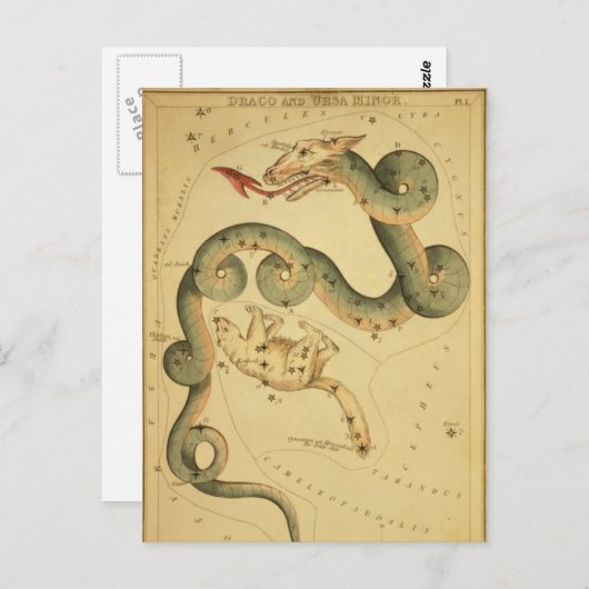  astronomische afdruk Draco & Ursa Minor Briefkaart (Voorkant / Achterkant)