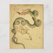  astronomische afdruk Draco & Ursa Minor Briefkaart (Voorkant)