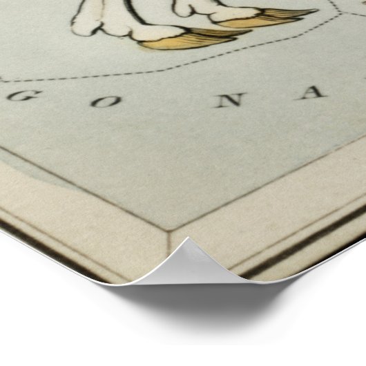 Astronomische Grafiek  Unicorn Poster (Hoek)