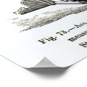 Astronomische instrumenten poster (Hoek)