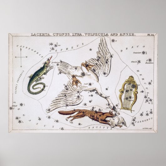 astronomische kaart poster (Voorkant)