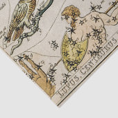  astronomische kaart tissuepapier (Detail)