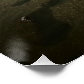 Astúrias Beach Guarujá Brazilië Perfect Poster (Hoek)