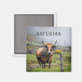 Asturias Mountain Cow Travel Magneet (Voorkant / Achterkant)