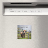 Asturias Mountain Cow Travel Magneet (Insitu (Vaatwasser))