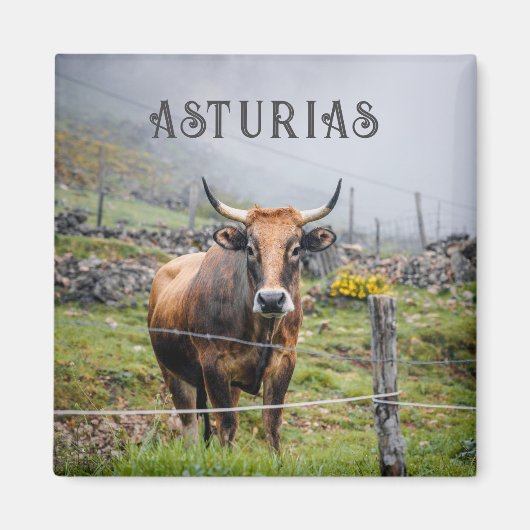 Asturias Mountain Cow Travel Magneet (Voorkant)
